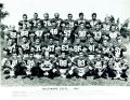 Aafc-team-photo baltimore-colts 1949.jpg