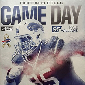 2016 Buffalo Bills