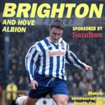 1995-96 Brighton & Hove Albion