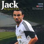 2013-14 Swansea City