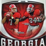 2008 Georgia Bulldogs Football