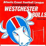 1967 Westchester Bulls