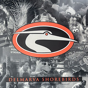 Delmarva Shorebirds