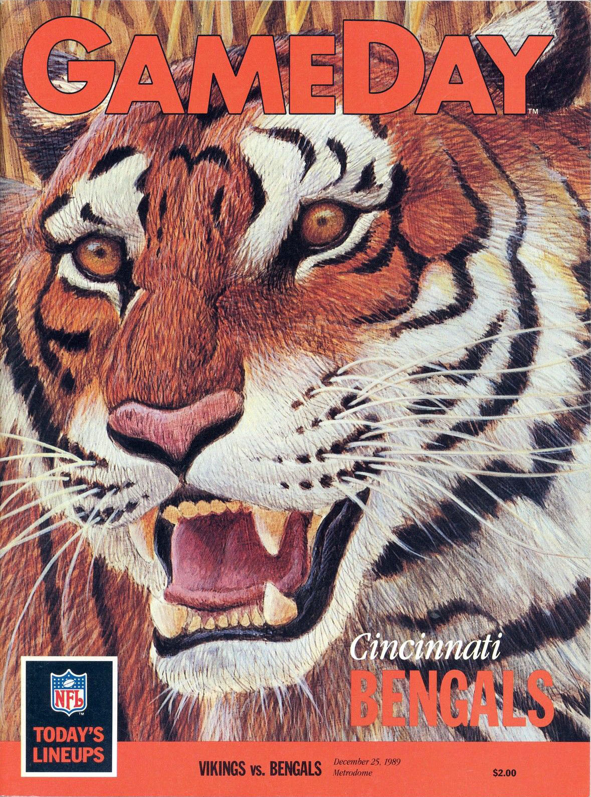 NFL Program: Minnesota Vikings vs. Cincinnati Bengals (December 25, 1989)