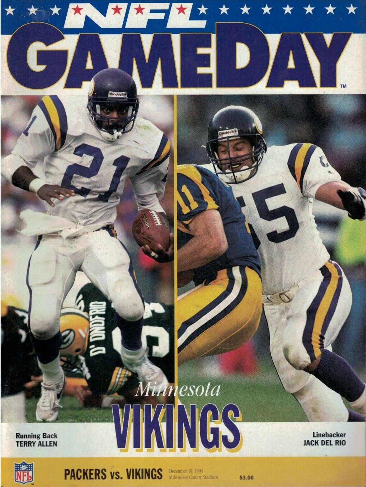 Green Bay Packers vs. Minnesota Vikings (December 19, 1993)