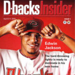 2010 Arizona Diamondbacks