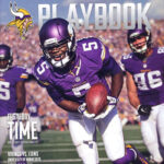 2014 Minnesota Vikings