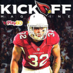 2015 Arizona Cardinals