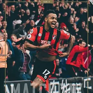 2016-17 AFC Bournemouth