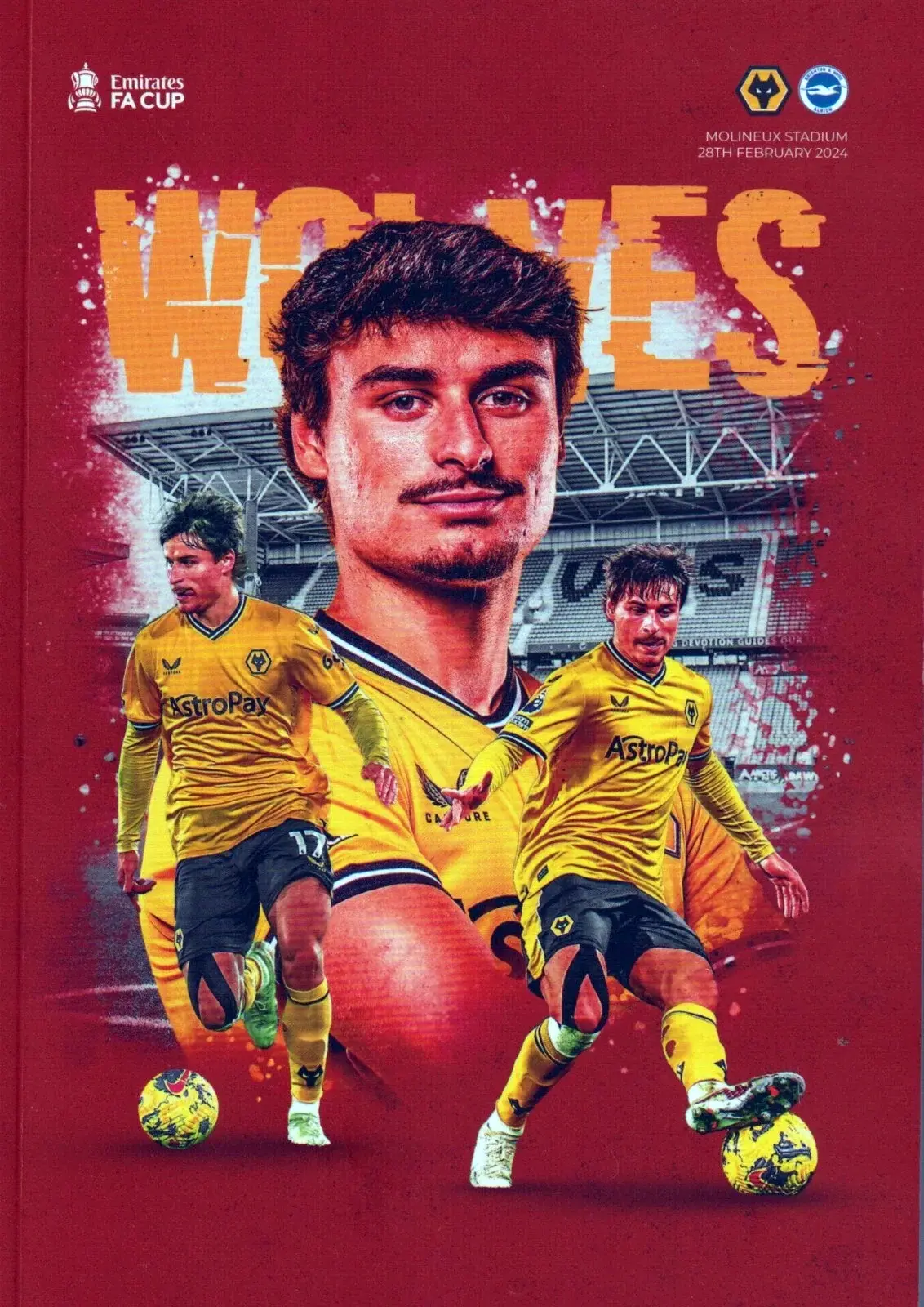 Wolverhampton Wanderers vs. Brighton & Hove Albion (February 28, 2024)