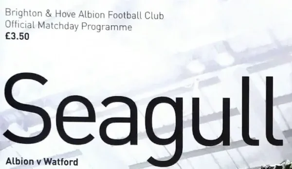 Brighton & Hove Albion publication crest (2012-13)