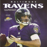 2015 Baltimore Ravens