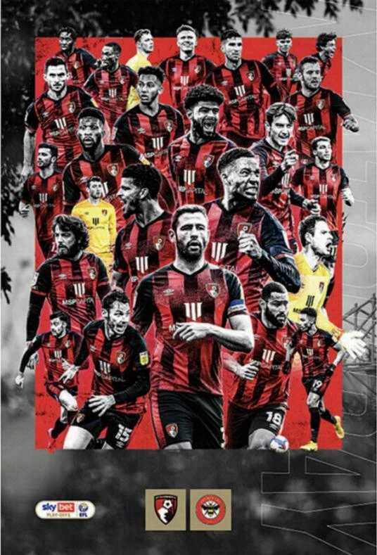AFC Bournemouth vs. Brentford (April 24, 2021)