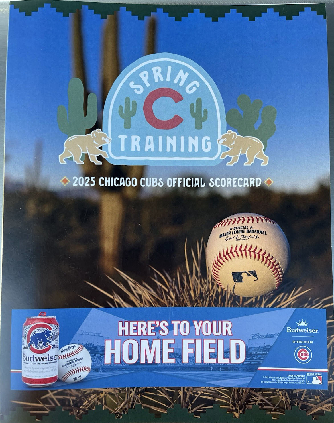 2025 Chicago Cubs program