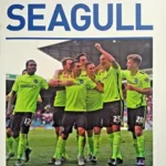 2015-16 Brighton & Hove Albion