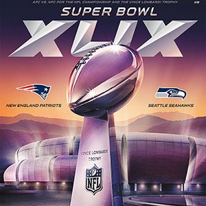 2014 New England Patriots