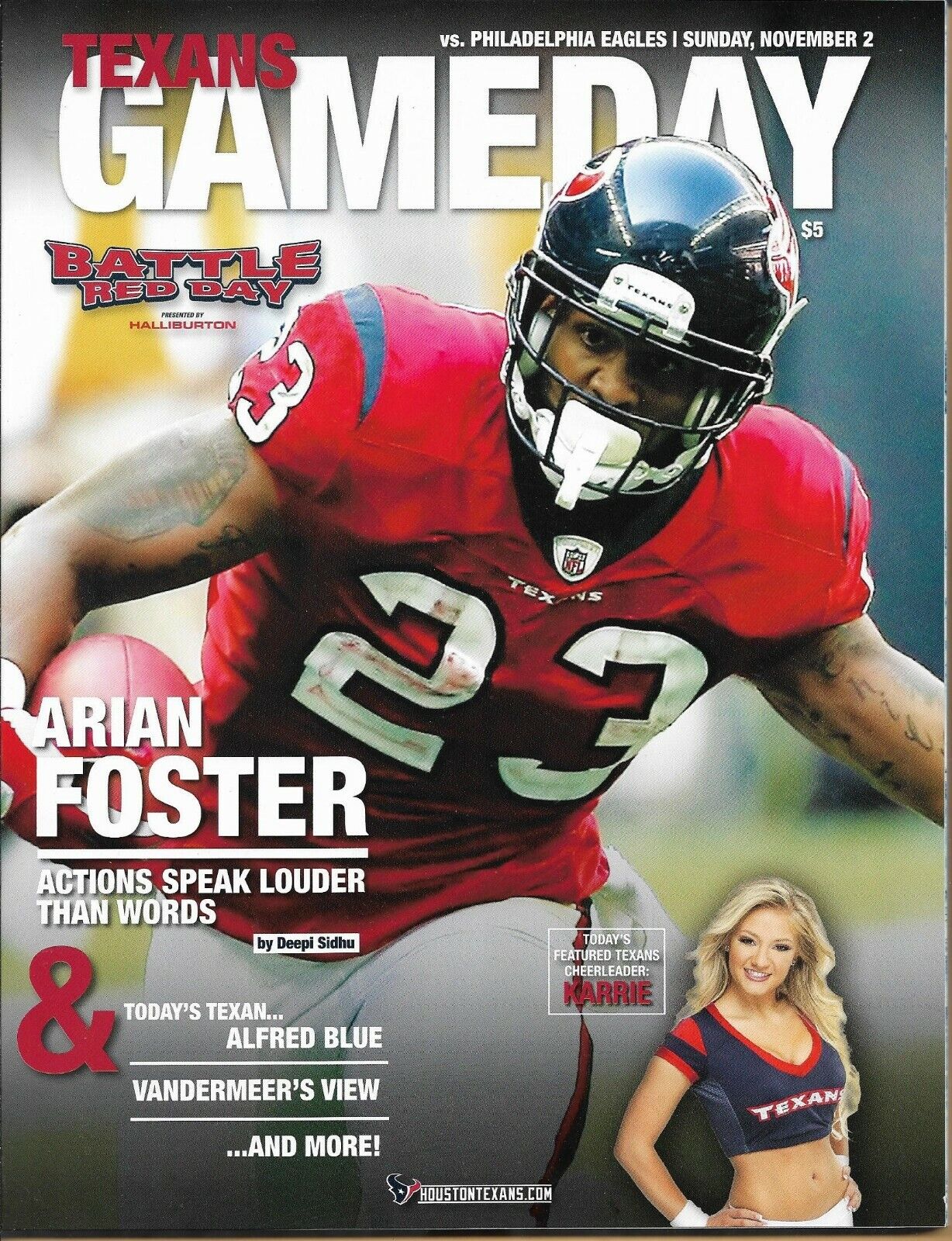 Houston Texans vs. Philadelphia Eagles (November 2, 2014)