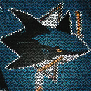 2013-14 San Jose Sharks