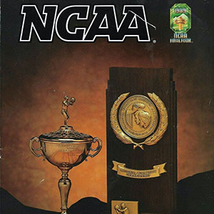 1988-89 Illinois Fighting Illini Men's Basketball