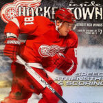 2008-09 Detroit Red Wings