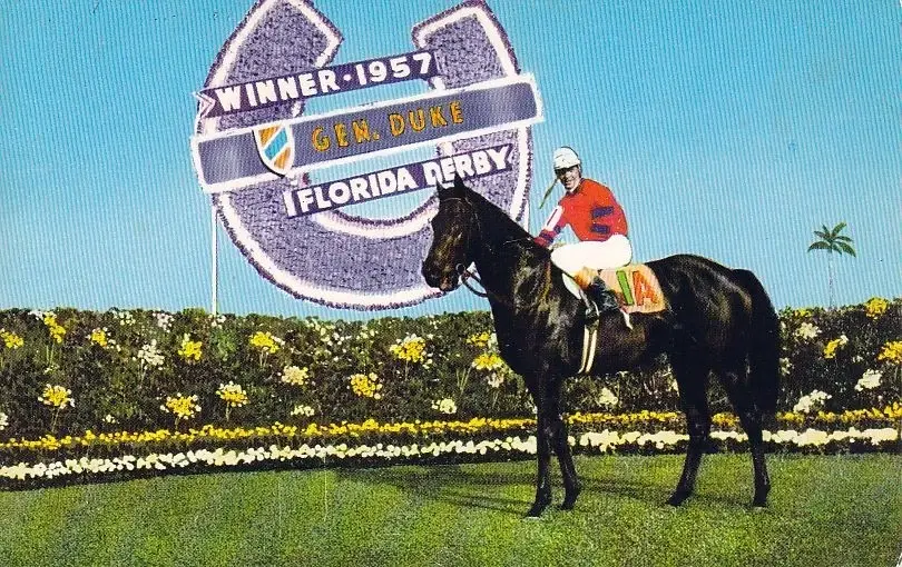 General Duke Florida Derby Postcard