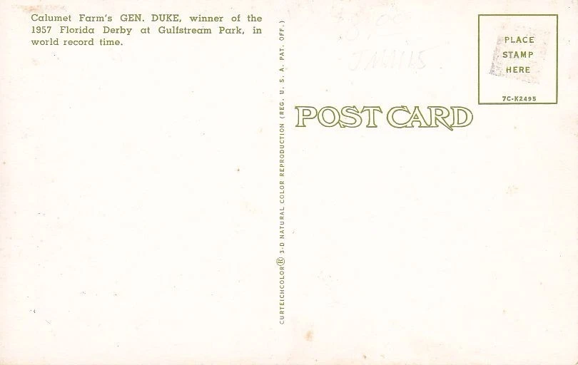 General Duke Florida Derby Postcard