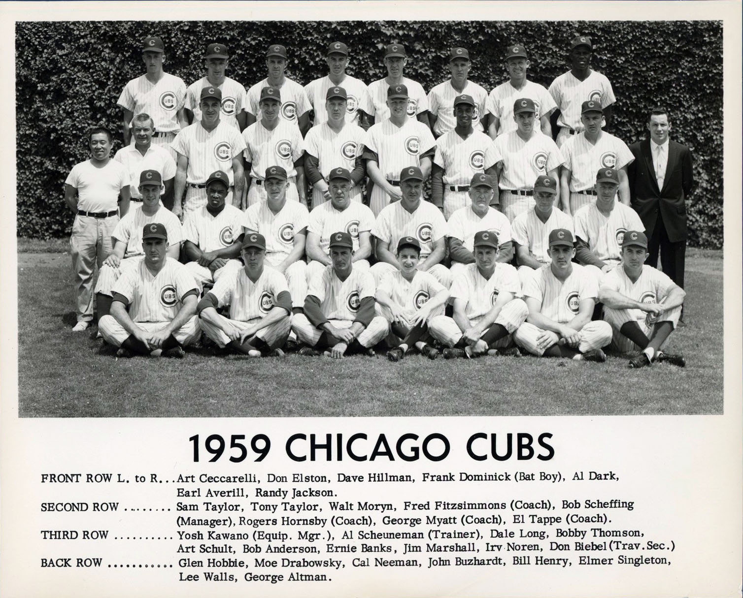1959 Chicago Cubs Team Photo