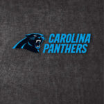 2013 Carolina Panthers