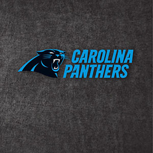 2013 Carolina Panthers