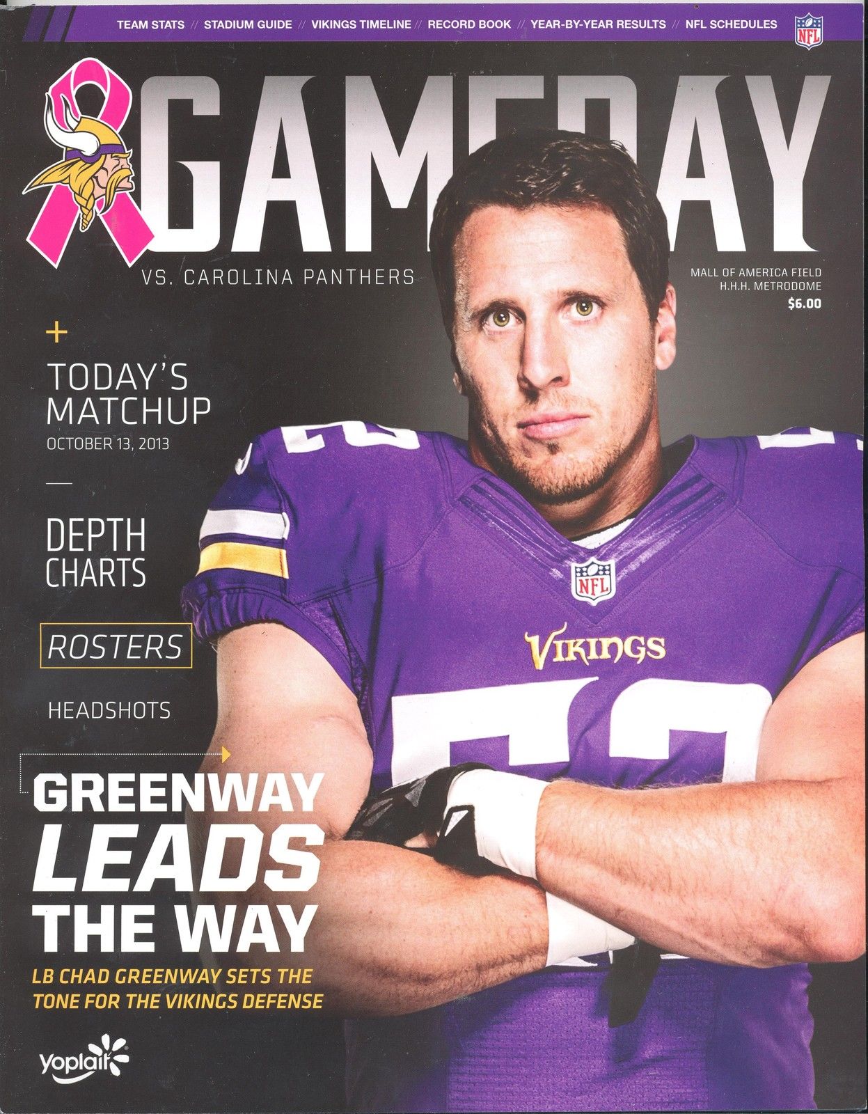 Minnesota Vikings vs. Carolina Panthers (October 13, 2013)