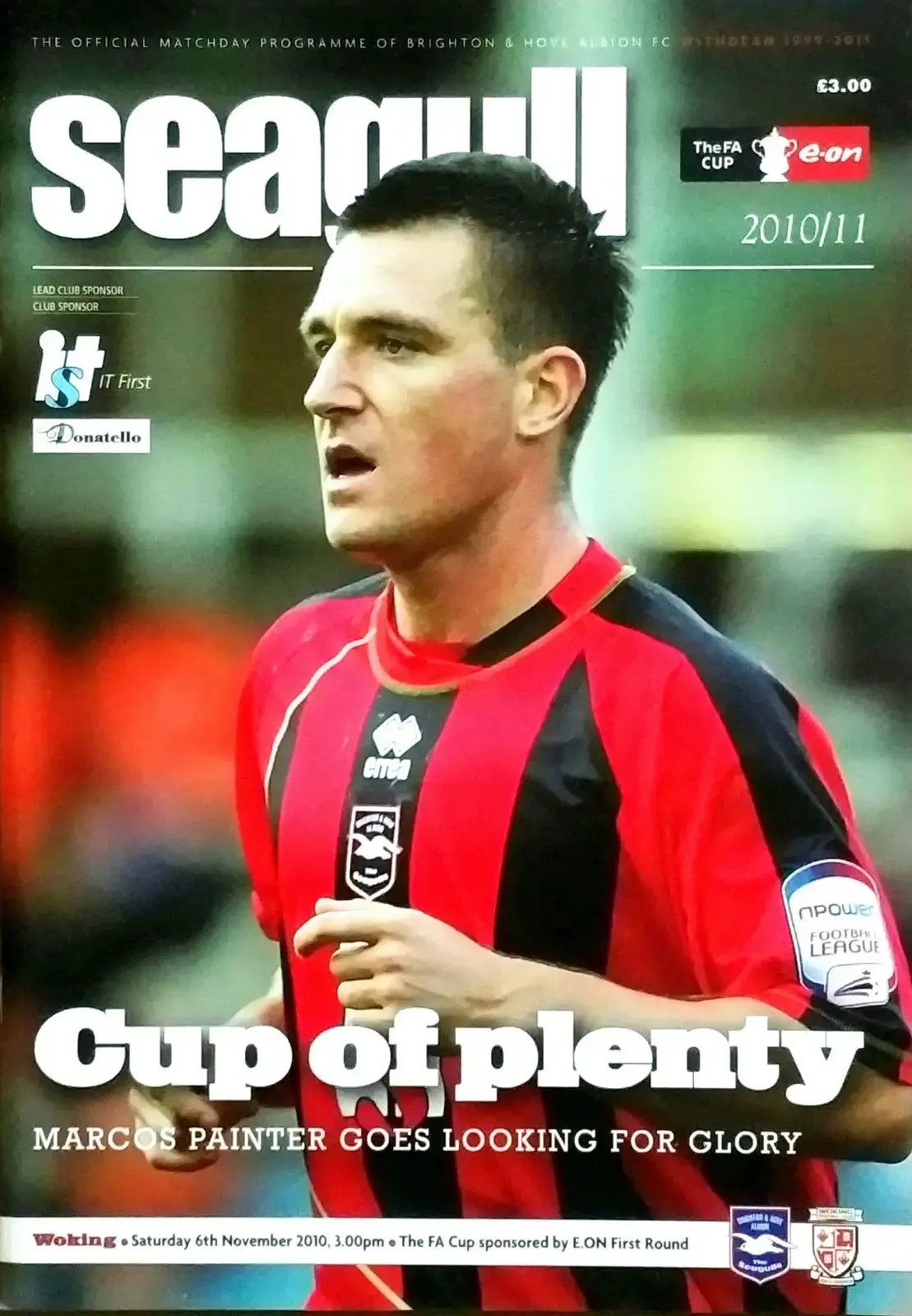 Brighton & Hove Albion vs. Woking (November 6, 2010)