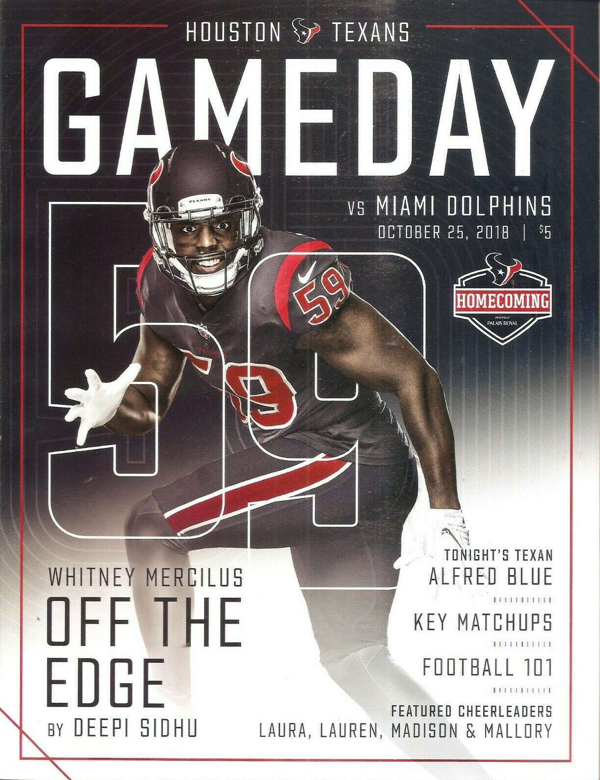 Houston Texans vs. Miami Dolphins (October 25, 2018)