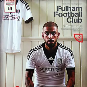 2013-14 Fulham