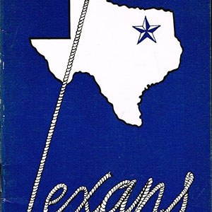 Dallas Texans (NFL)