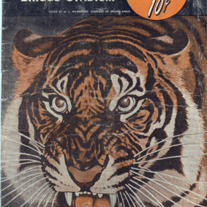 1951 Detroit Tigers program/scorecard