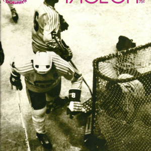 1972-73 Chicago Cougars program