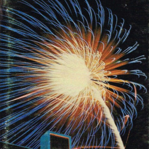 1981 media guide