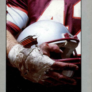 Jacksonville Bulls media guide