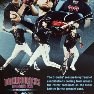2024 Arizona Diamondbacks program