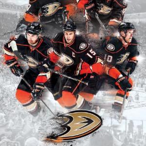 2014-15 Anaheim Ducks media guide