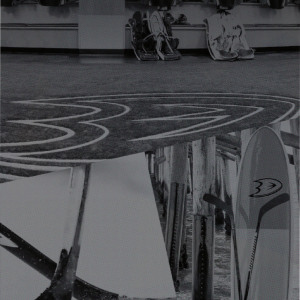 2016-17 Anaheim Ducks media guide