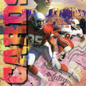 1996 Arizona Cardinals media guide