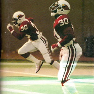 1982 St. Louis Cardinals (NFL) media guide