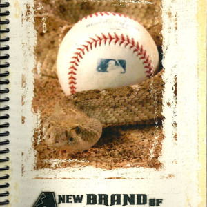 2006 Arizona Diamondbacks media guide