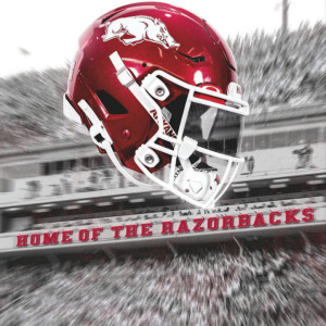 2024 Arkansas Razorbacks football media guide