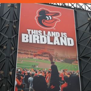 MLB Media Guide: Baltimore Orioles (2021)