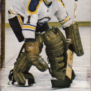 1972-73 Buffalo Sabres yearbook