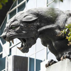 NFL Media Guide: Carolina Panthers (2017)