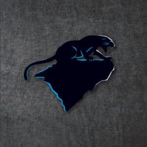 NFL Media Guide: Carolina Panthers (2018)