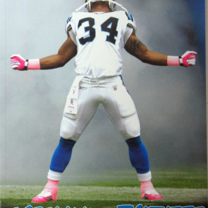 2010 Carolina Panthers yearbook